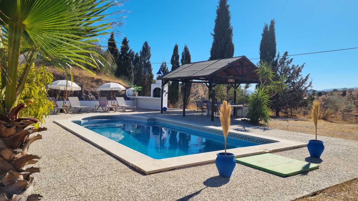 Afbeelding van Olive Room