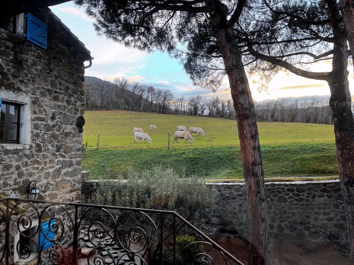 Pictures of Pendola with generous breakfast