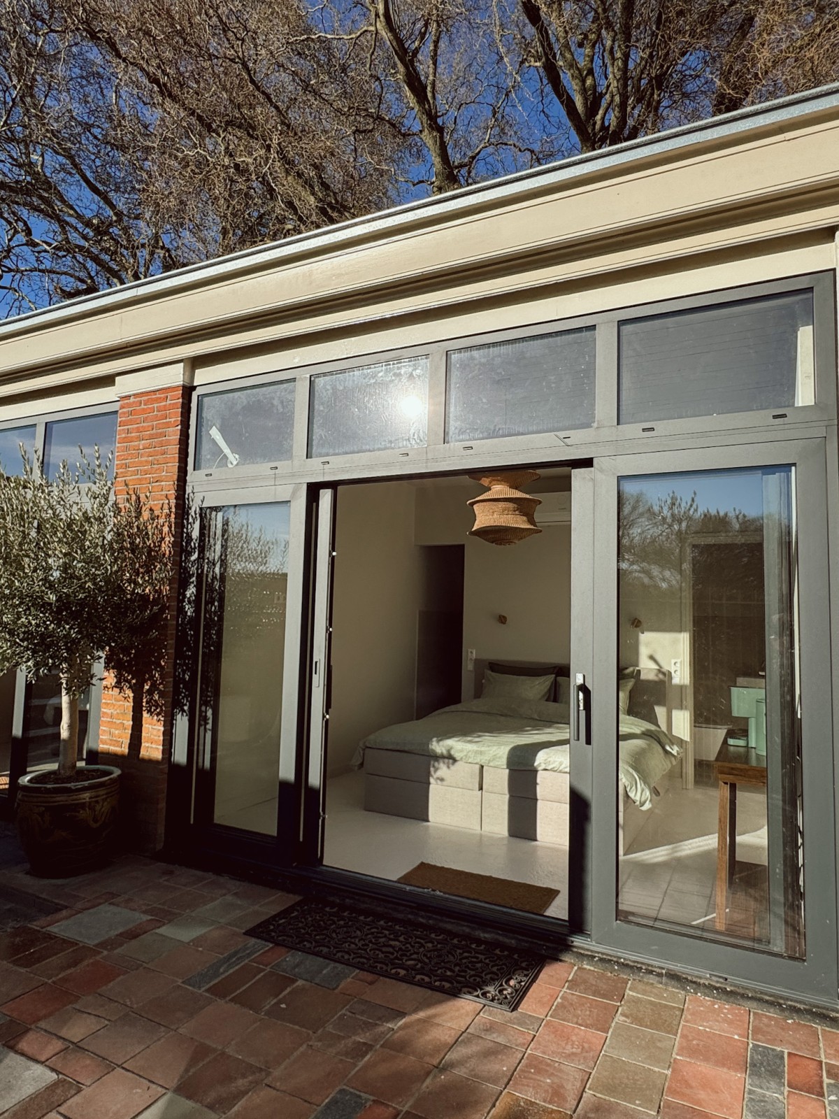 Afbeelding van 🫒 Kamer Olijf