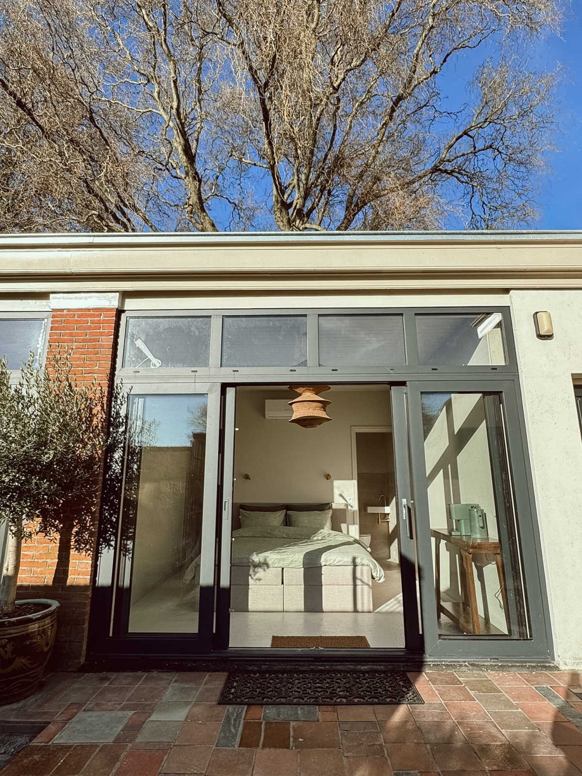 Afbeelding van 🫒 Kamer Olijf