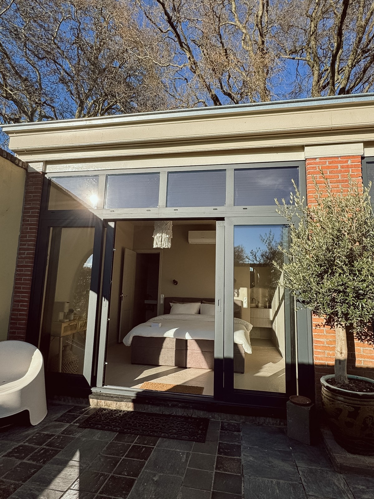 Afbeelding van 🥝 Kamer Kiwi