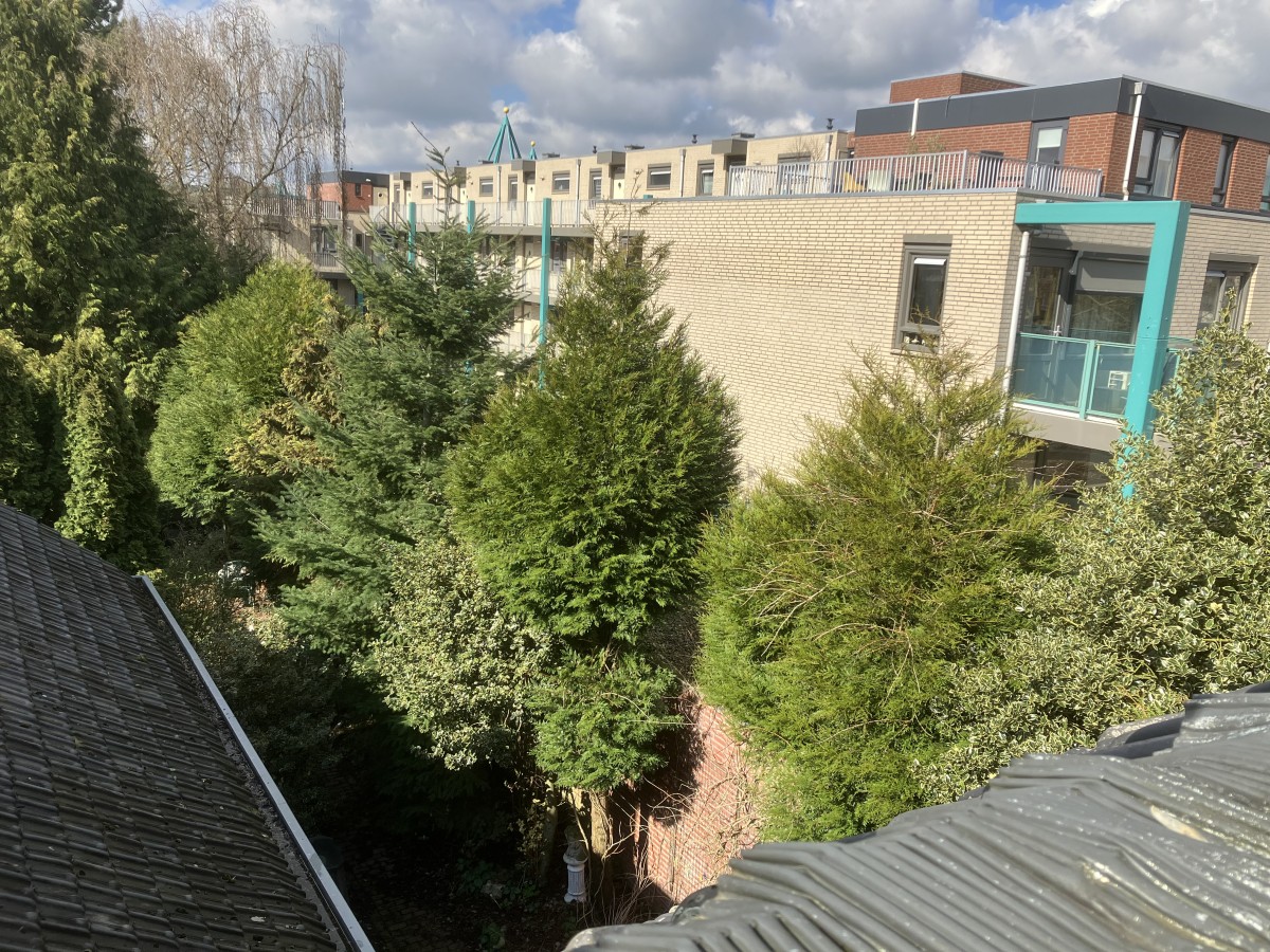 Afbeelding van K9 Authentieke zolder voor familie of vrienden