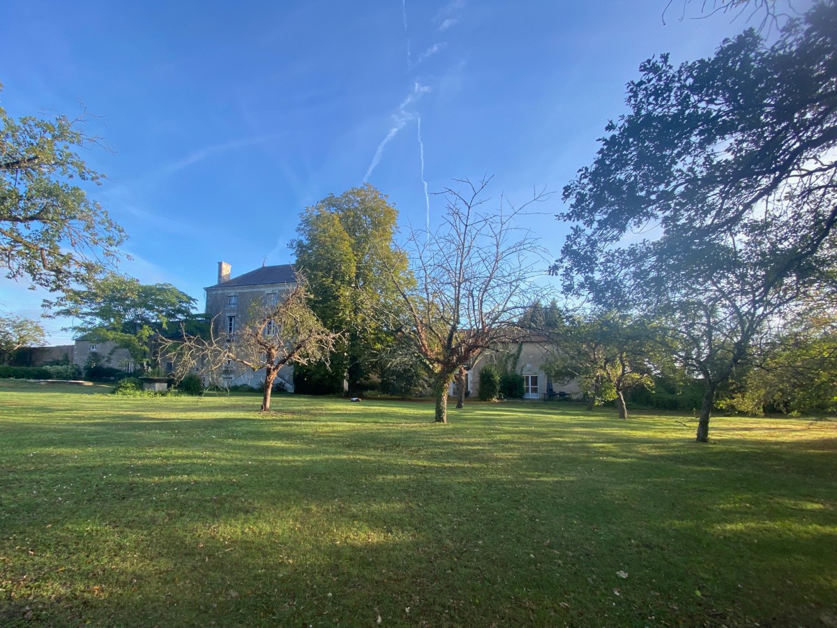 Pictures of Le Lapin