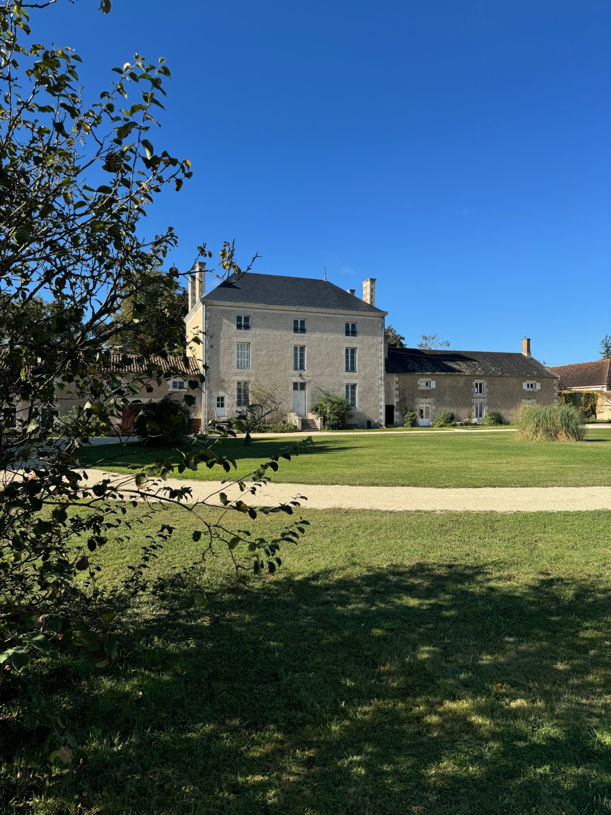 Pictures of Le Lapin