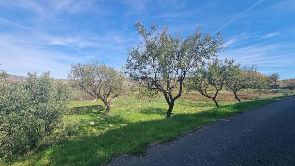 Afbeelding van Cortijo MaSy | Ibiza-style vakantiehuis Andalusië