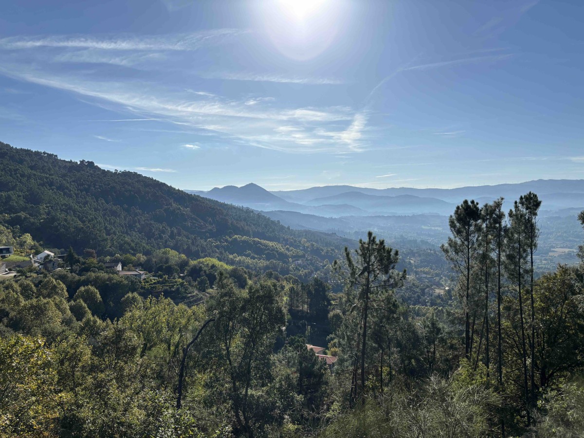 Afbeelding van Tinyhouse Olive