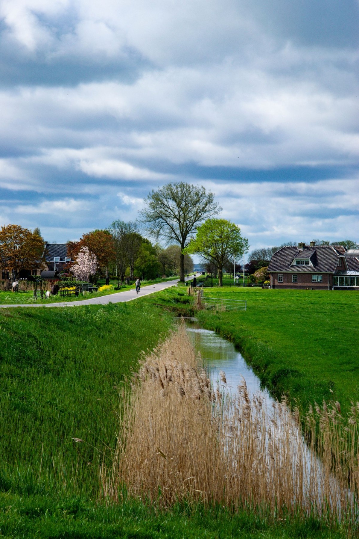 Afbeelding van Verblijf Schaap