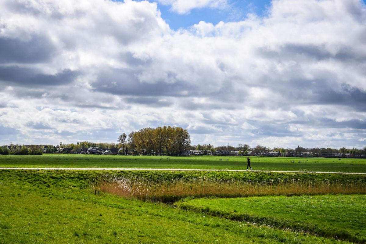 Afbeelding van Verblijf Schaap