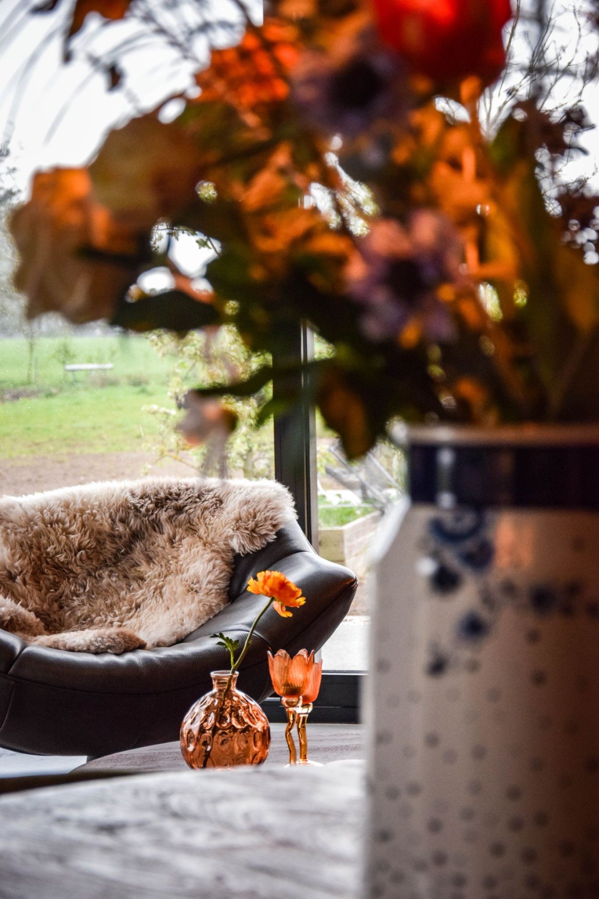 Afbeelding van Verblijf Schaap