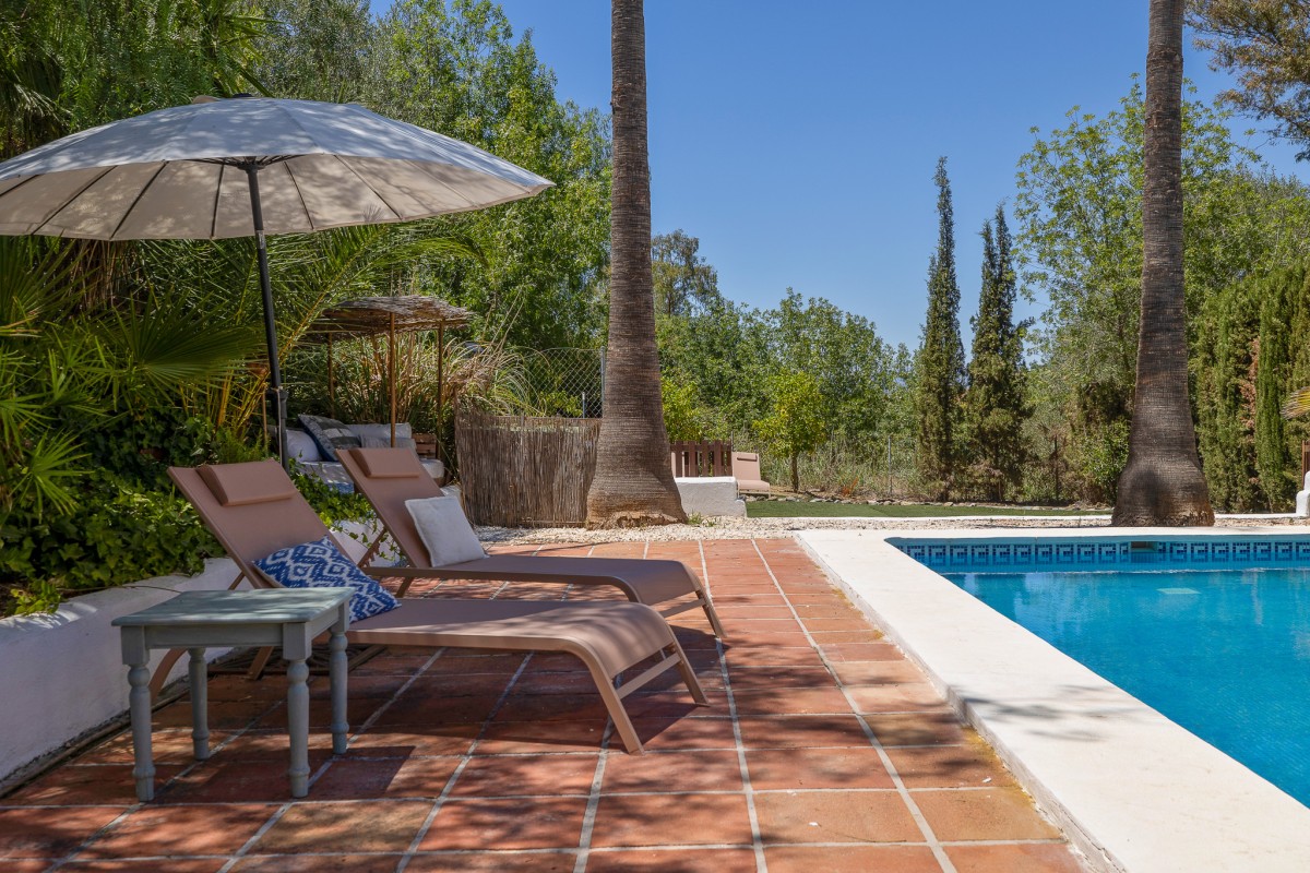 Pictures of Casa Lola