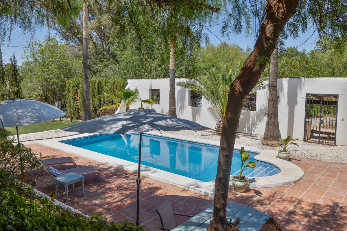 Pictures of Casa Lola