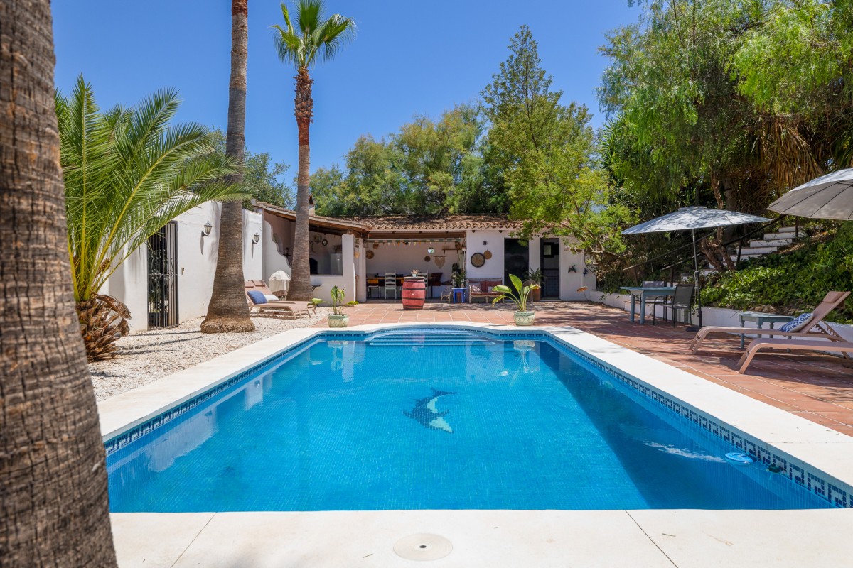 Pictures of Casa Lola