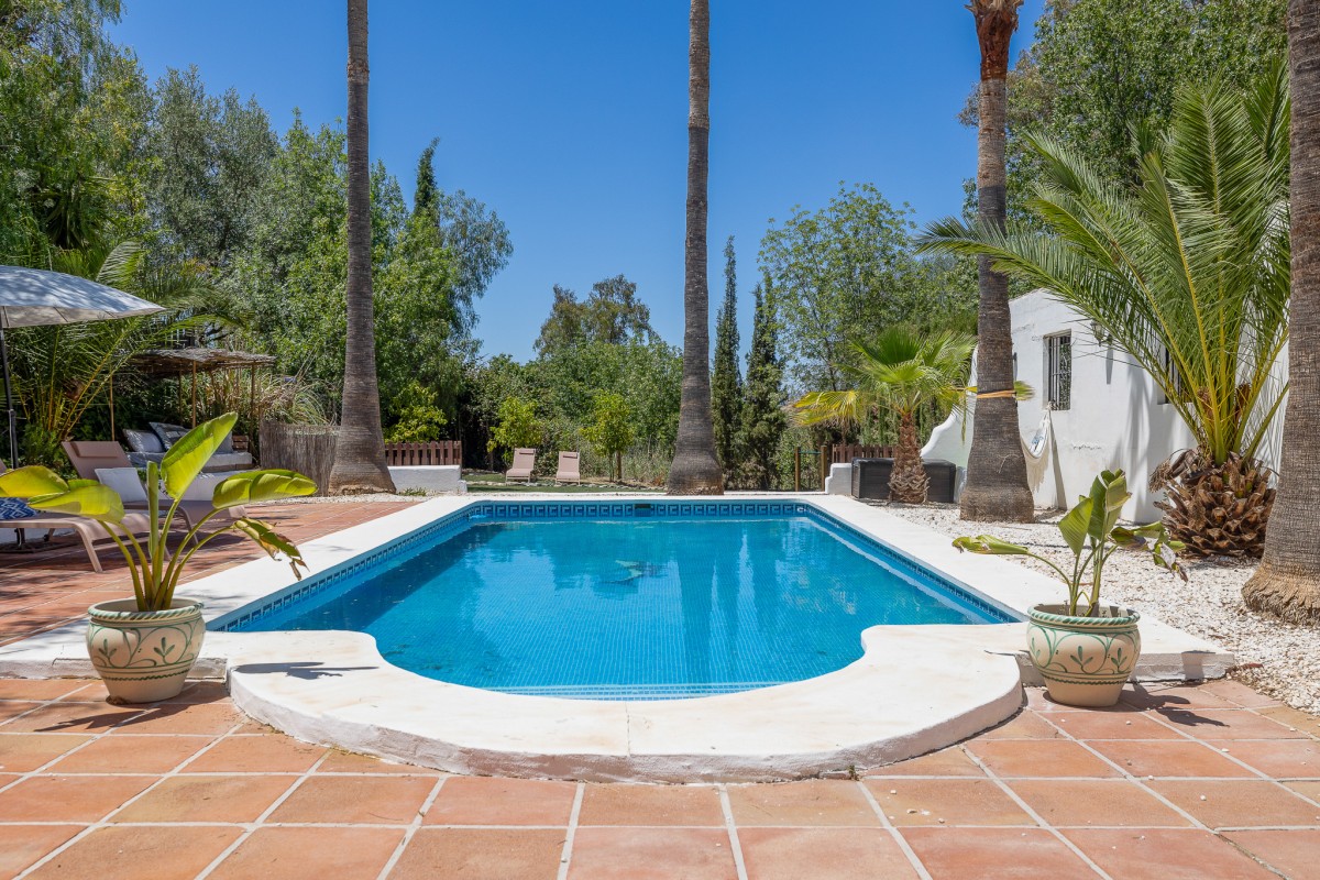 Pictures of Casa Lola