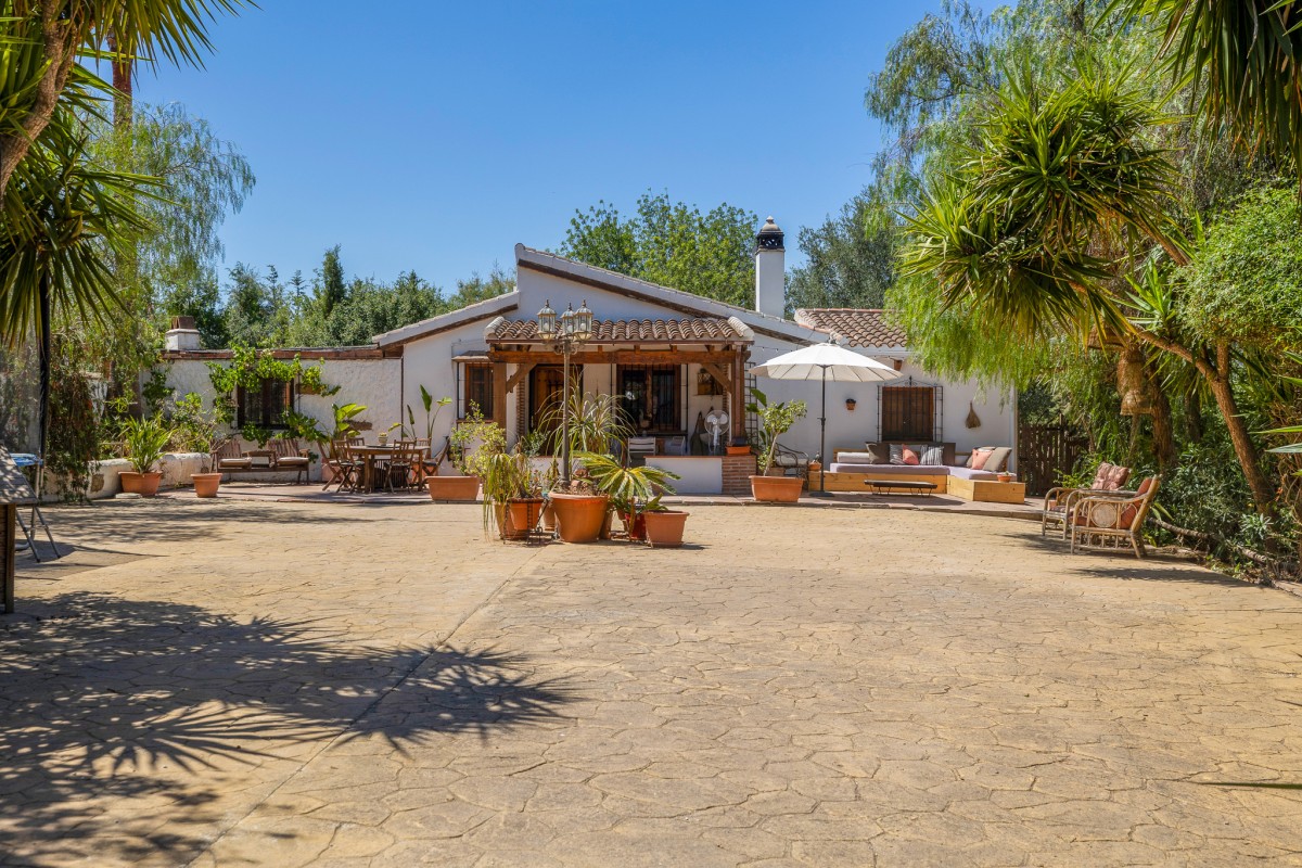 Pictures of Casa Lola