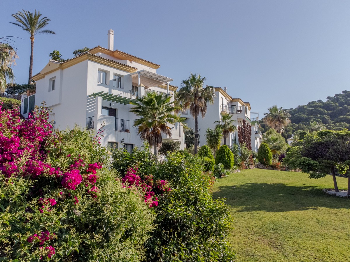 Afbeelding van Casa Pepito