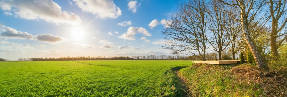 Afbeelding van Ingerichte Bell Tent