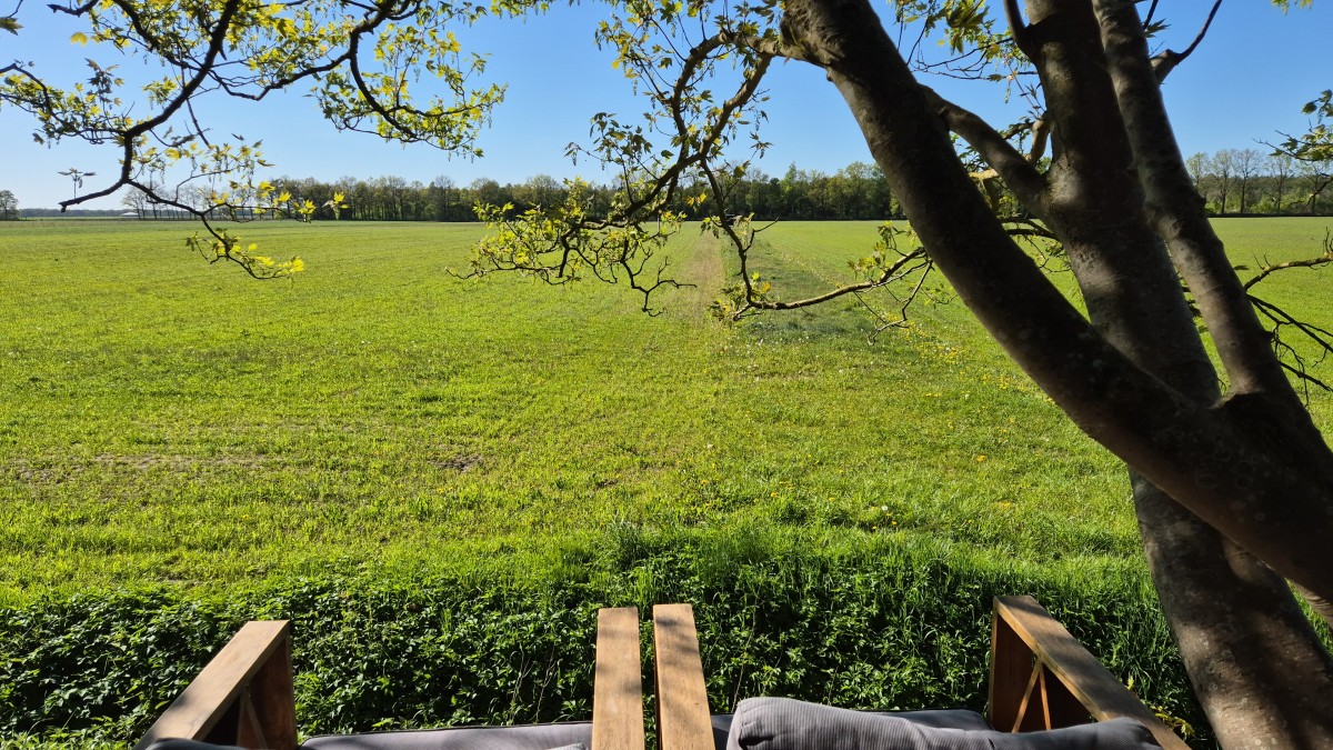 Afbeelding van Ingerichte Bell Tent