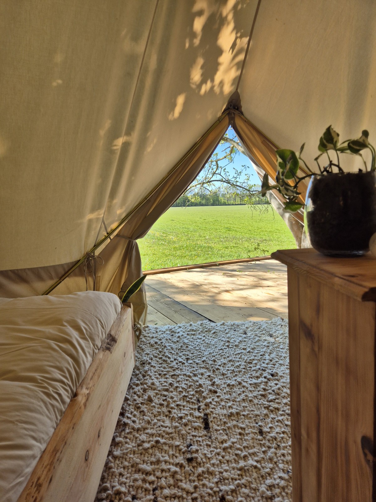 Afbeelding van Ingerichte Bell Tent
