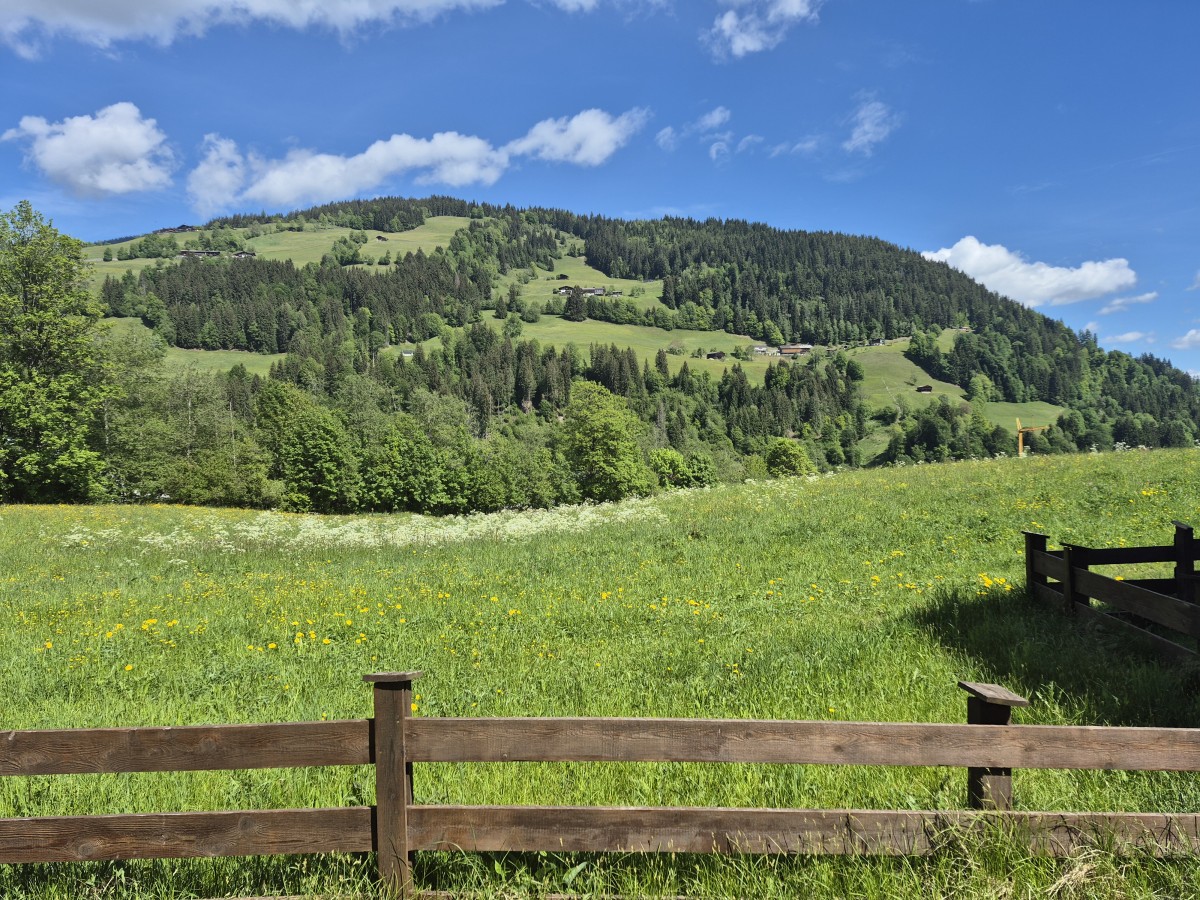 Bild von Schochenhof 02