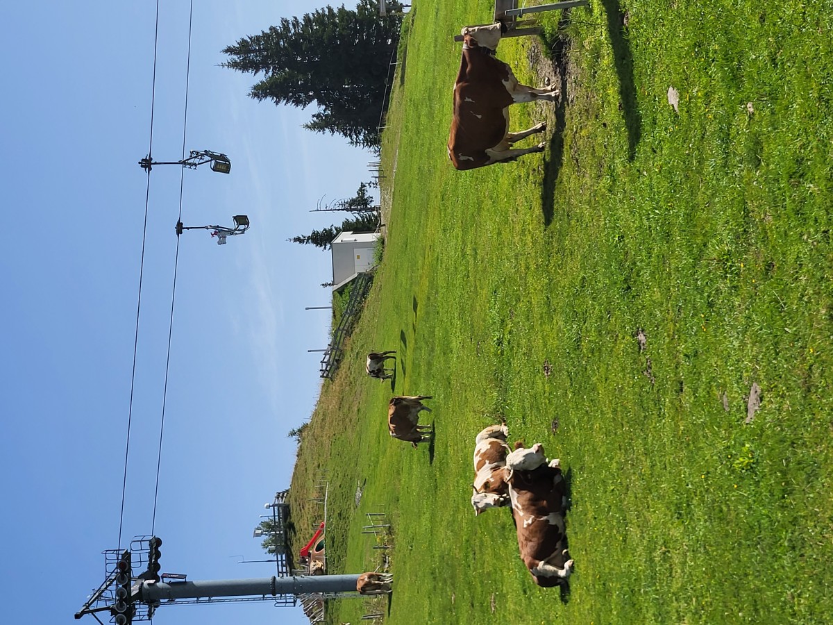 Afbeelding van Appartement 2/4 pers. Kirchberg in Tirol