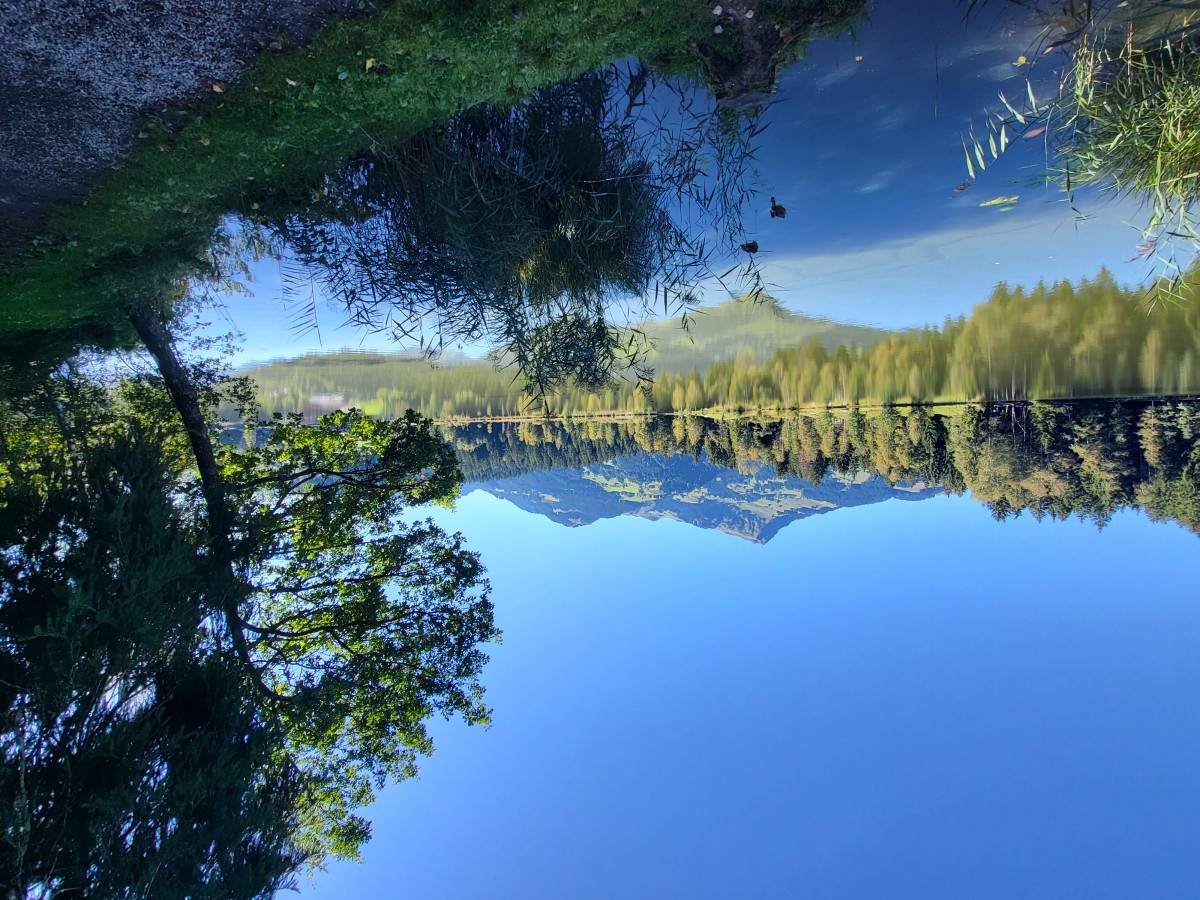 Afbeelding van Appartement 2/4 pers. Kirchberg in Tirol