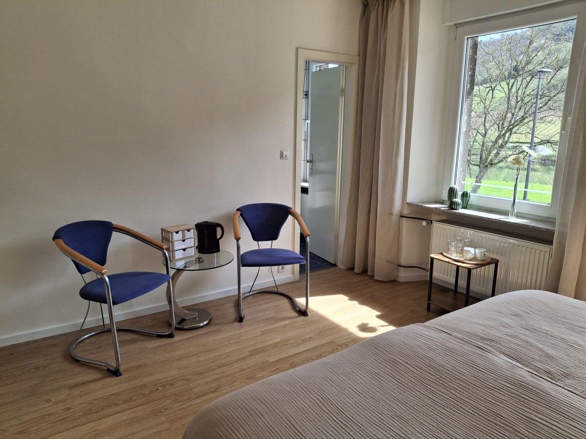 Afbeelding van Kamer met dakterras, Moezelzicht en eigen badkamer