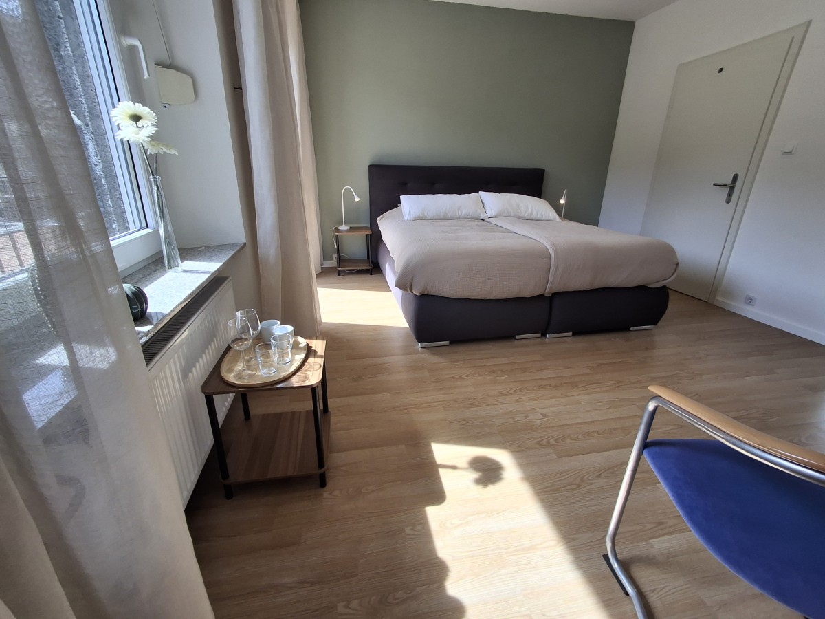 Afbeelding van Kamer met dakterras, Moezelzicht en eigen badkamer