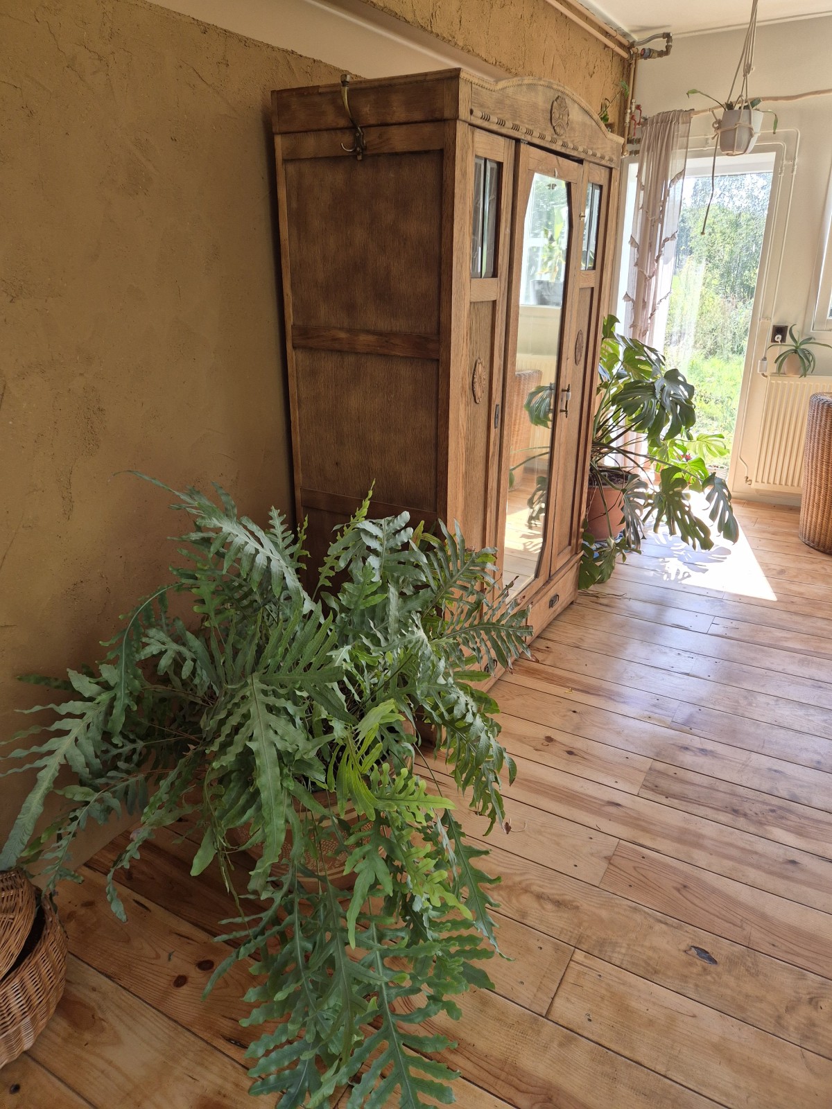 Afbeelding van Kamer Zonneklaar!