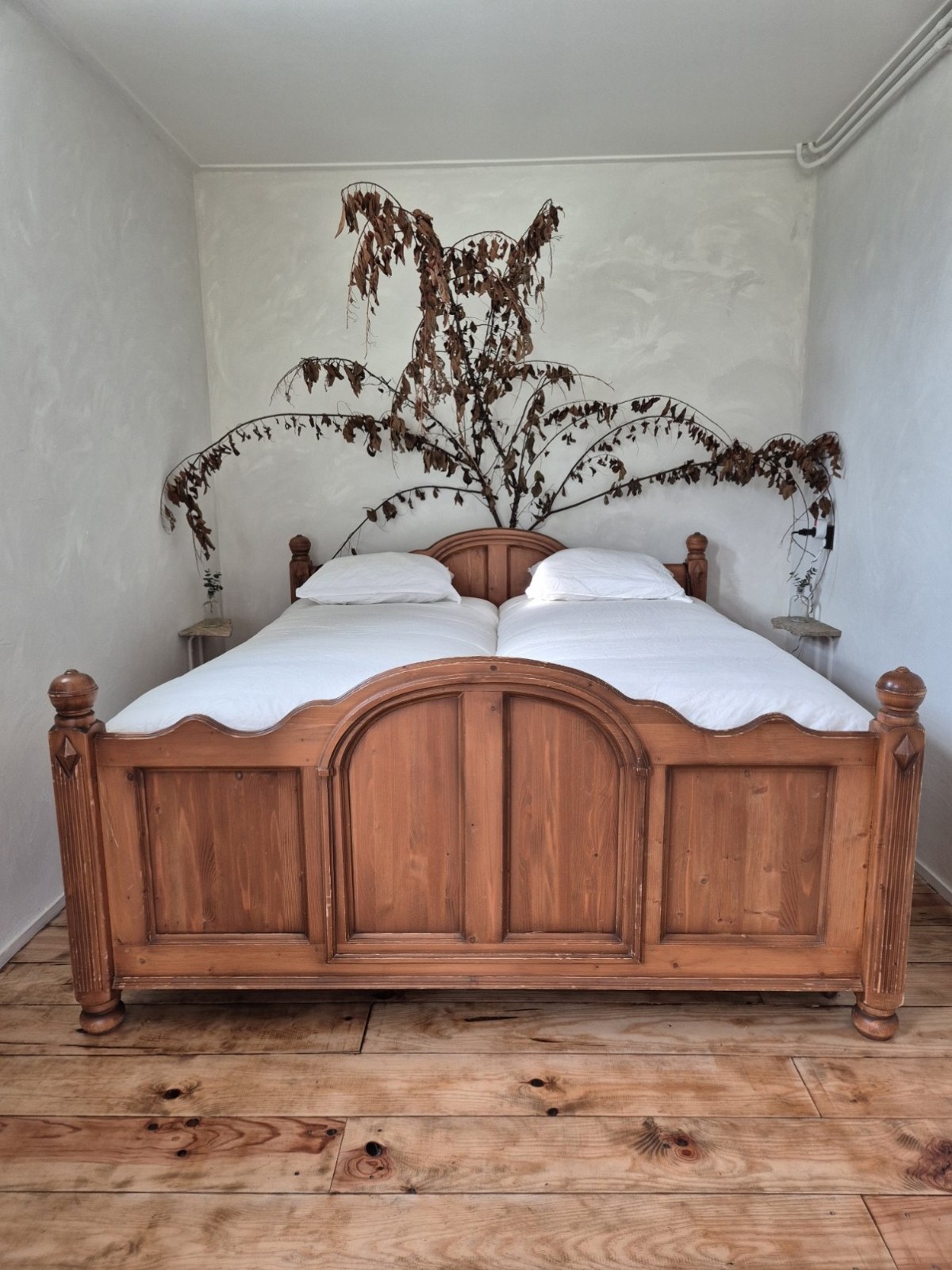 Afbeelding van Kamer Zonneklaar!