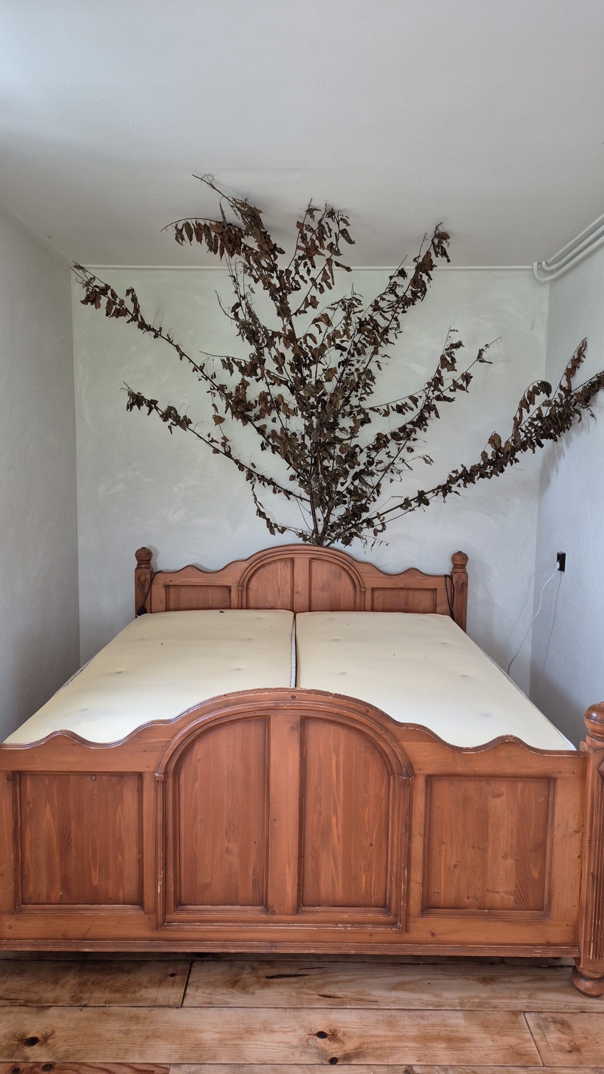 Afbeelding van Kamer Zonneklaar!