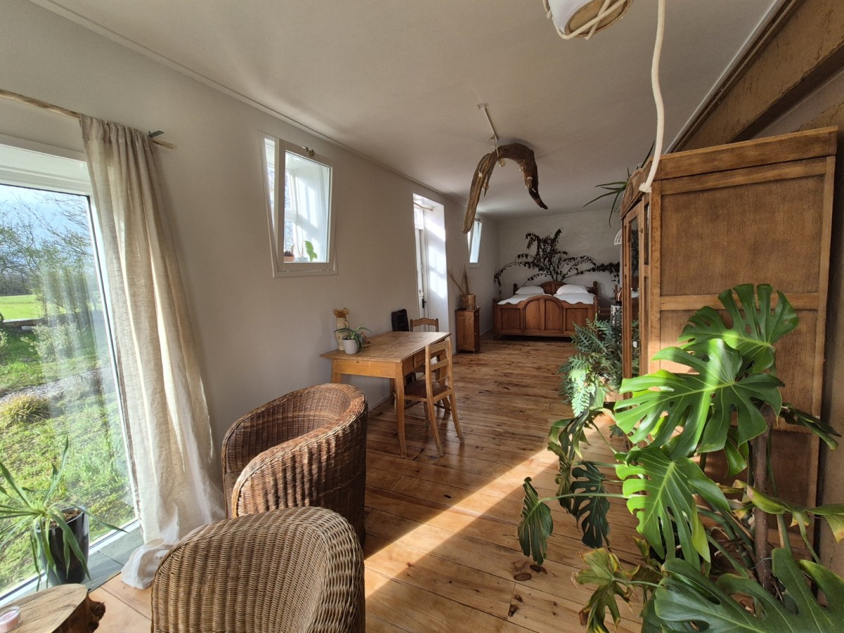 Afbeelding van Kamer Zonneklaar!