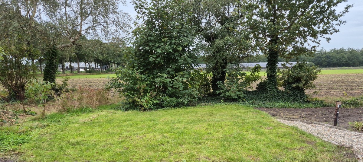 Afbeelding van Plekje voor eigen tent: 't Lichtpunt