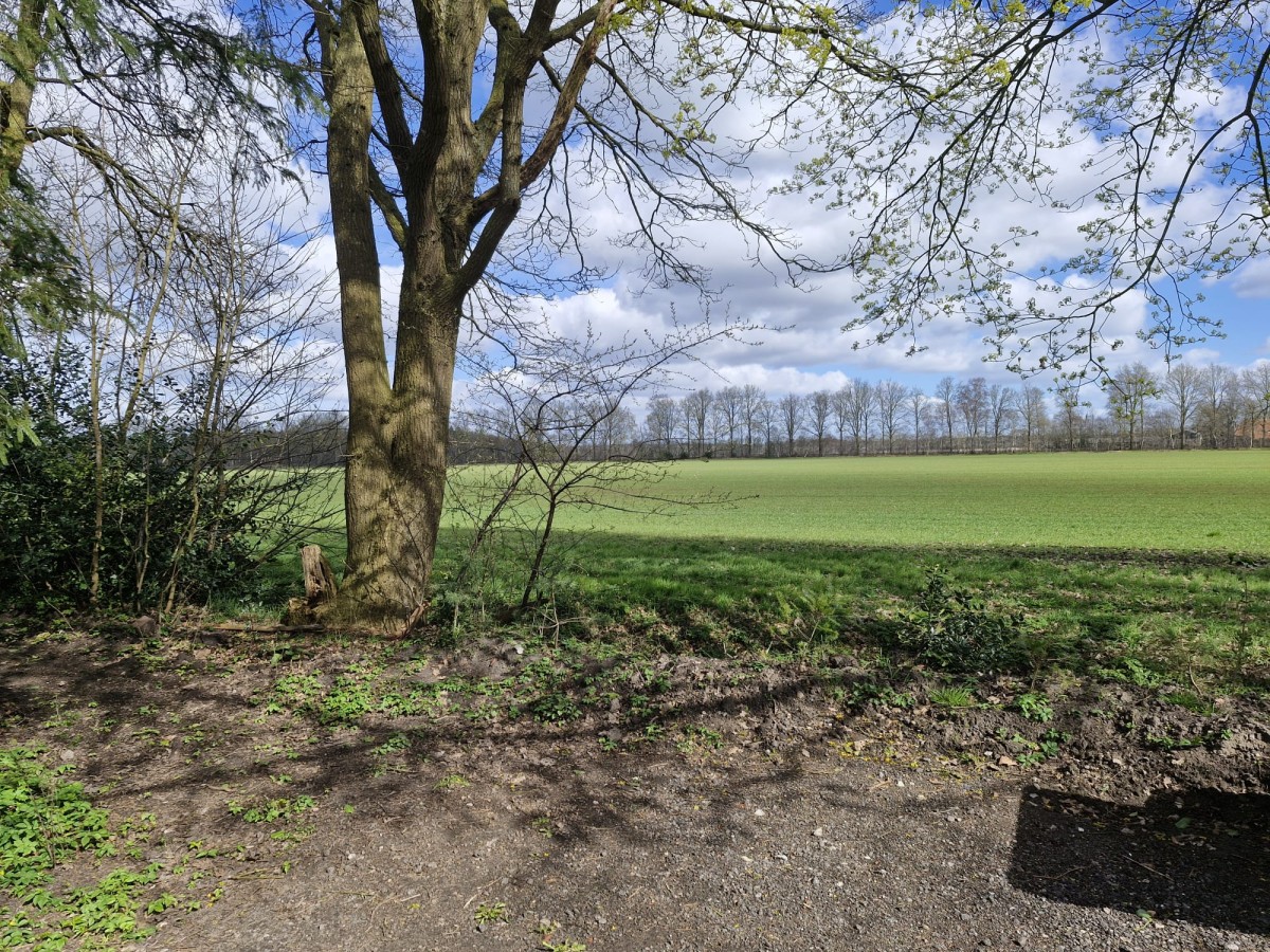 Afbeelding van Camperplaats