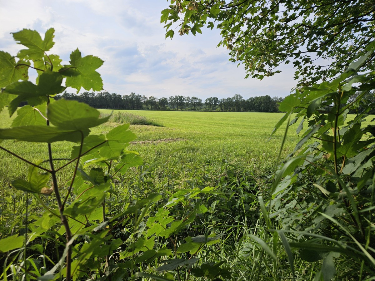 Afbeelding van Camperplaats