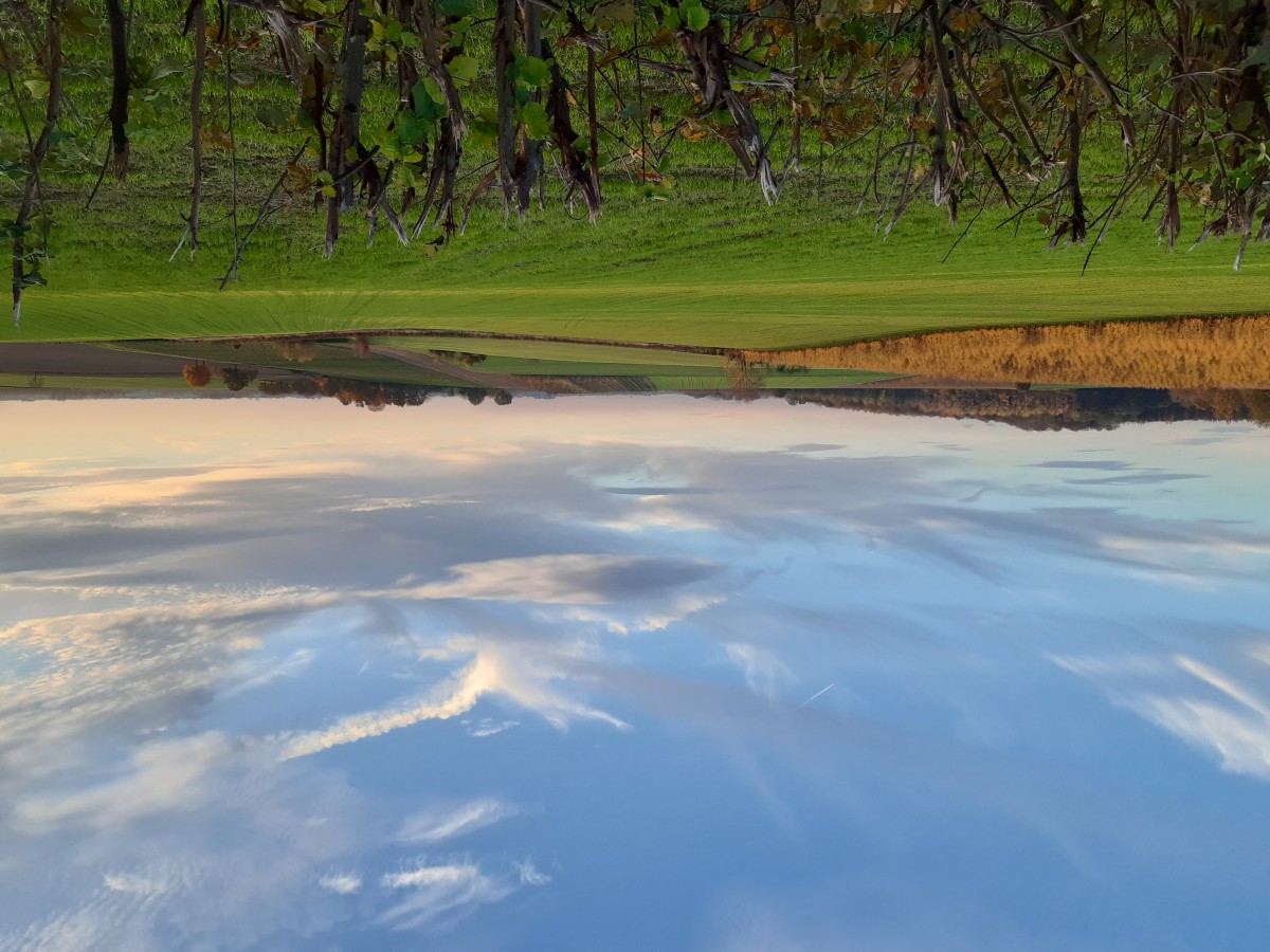 Afbeelding van Mirabelle  + Bellefleur + tuin, max. 17 personen