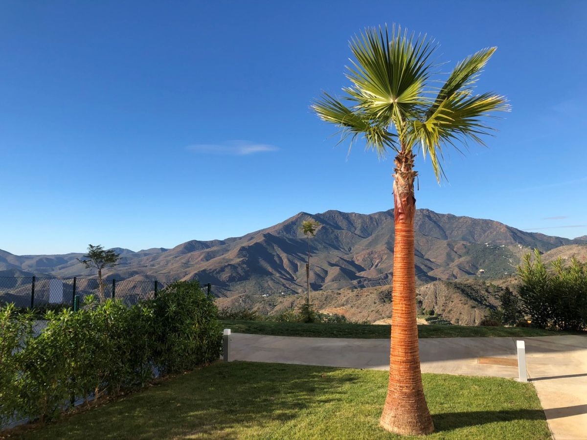 Afbeelding van Sierra Vista