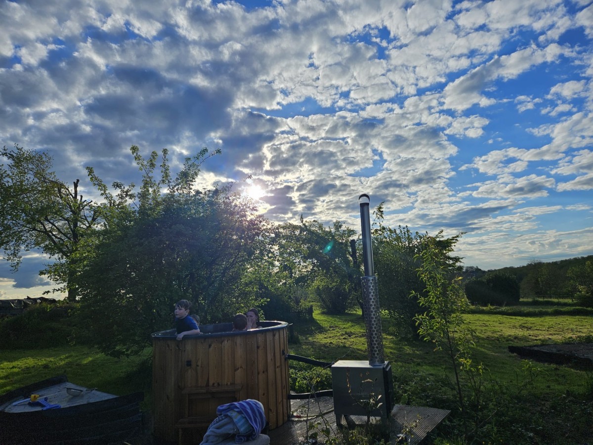 Afbeelding van Les Hirondelles - Familiehuis met speelschuur