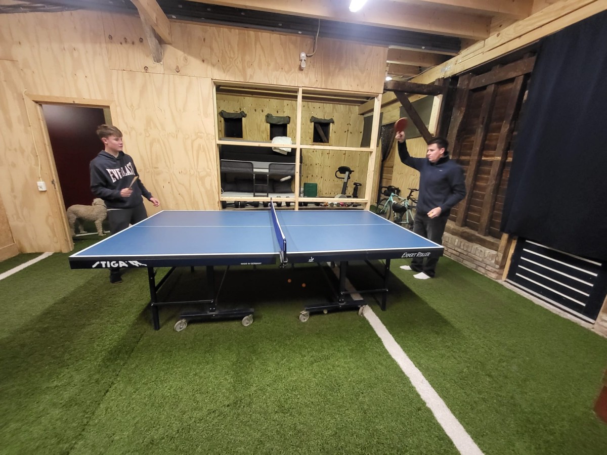 Afbeelding van Les Hirondelles - Familiehuis met speelschuur