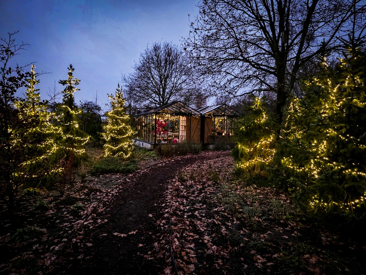 Afbeelding van Natuurhuisje Night Blue