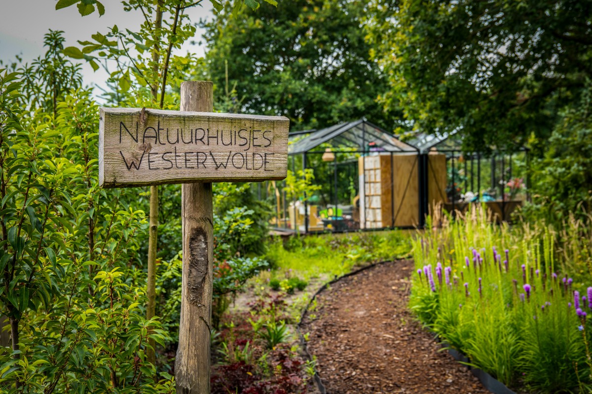 Afbeelding van Natuurhuisje Night Blue