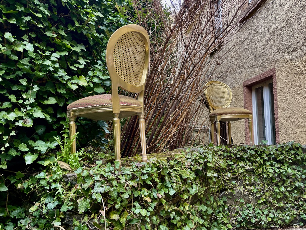 Bild von The Golden Lady