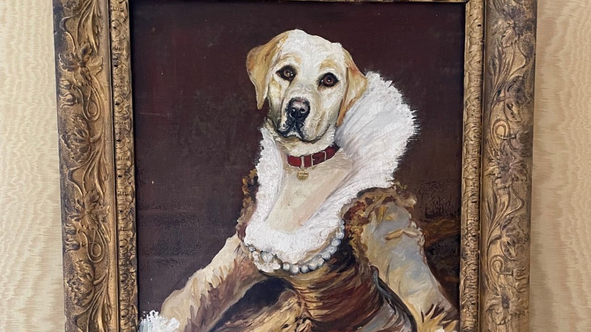 Image de The Golden Lady