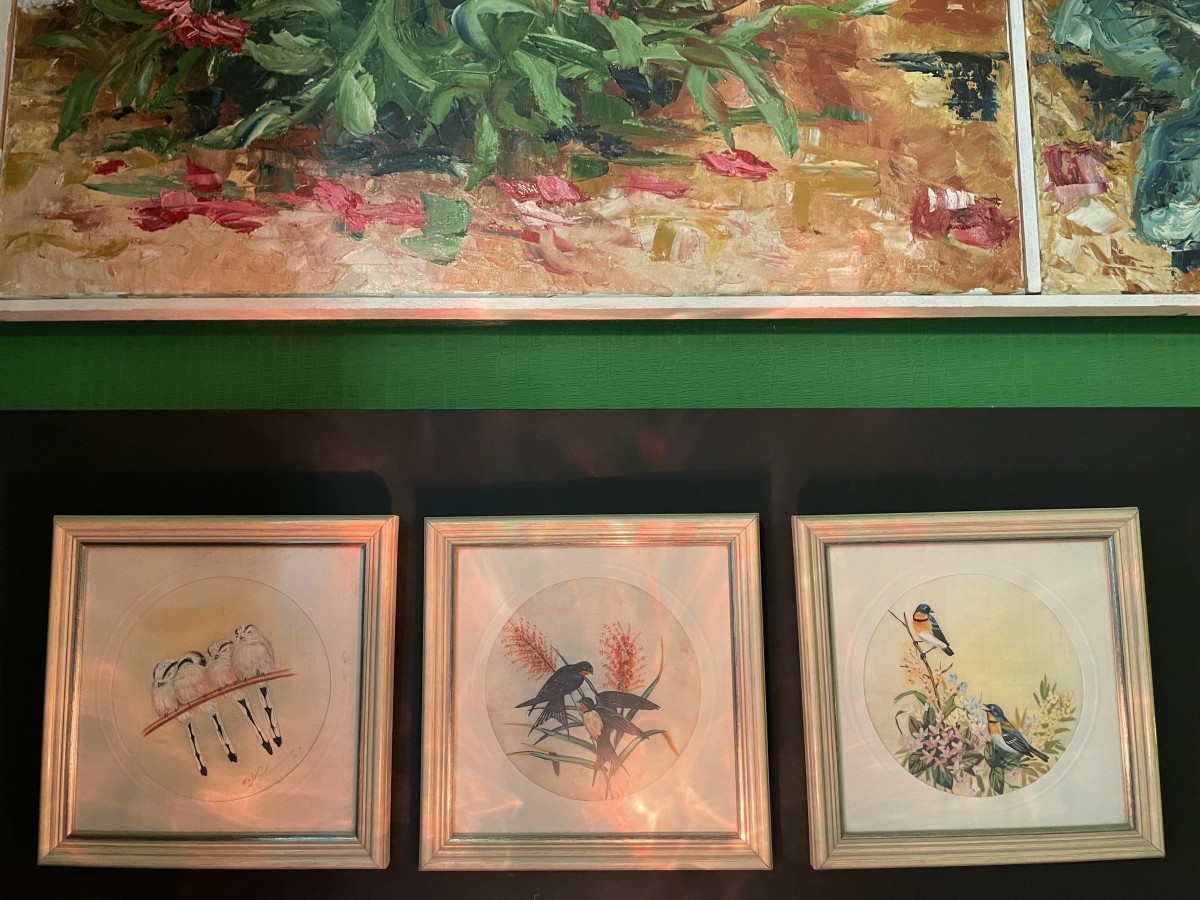 Image de Wild Nature