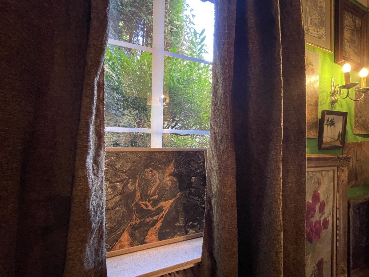 Image de Wild Nature