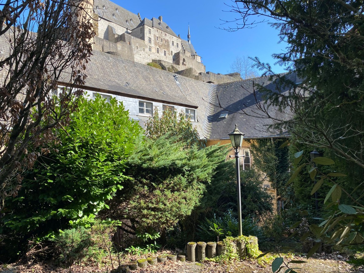 Image de Wild Nature