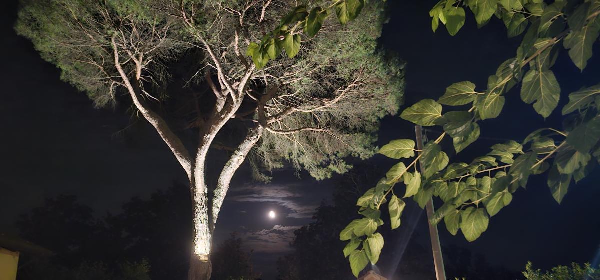 Pictures of Camping Asti
