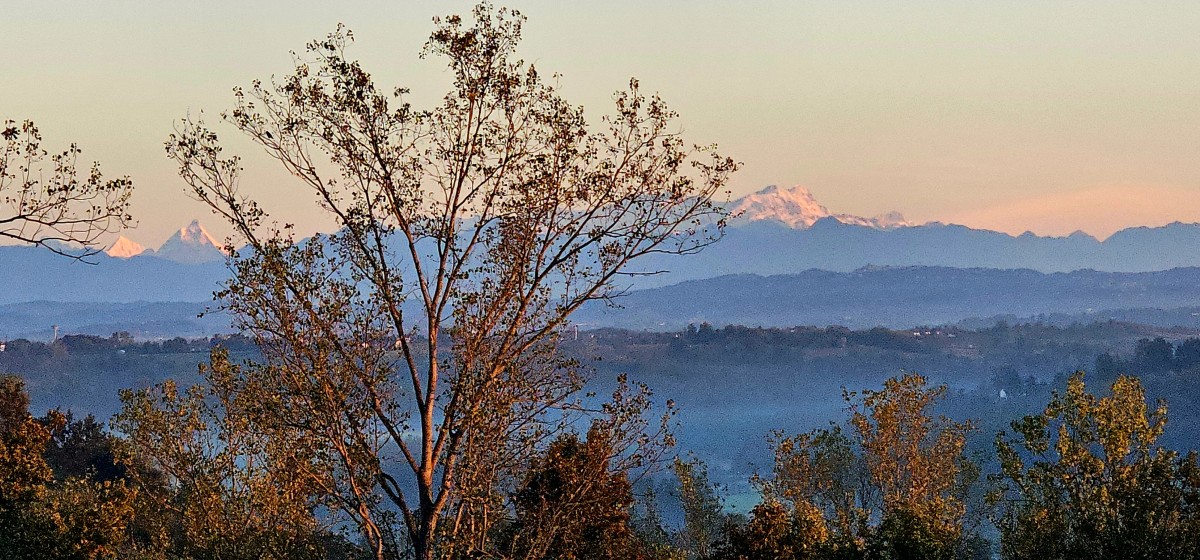 Afbeelding van Camperplaats Langhe