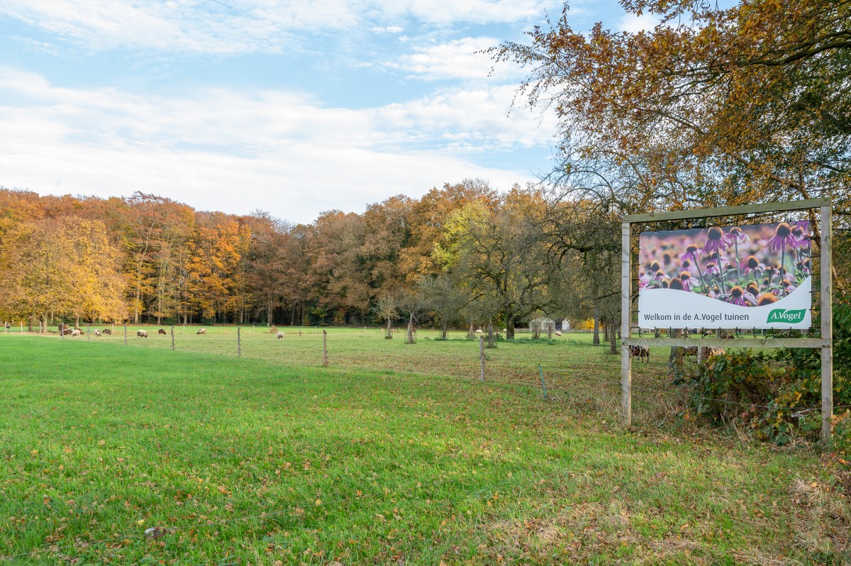 Pictures of Holiday home located on Estate Zwaluwenburg