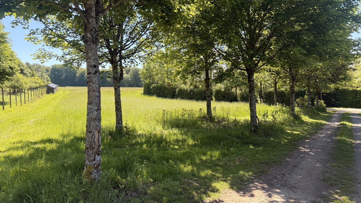 Afbeelding van Kampeerplek