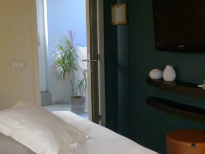 Kamer 1ste verdieping: Berkenboom